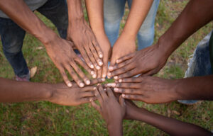 Read more about the article The Power of Storytelling: Transforming Your Non-Profit’s Impact Through Strategic Content